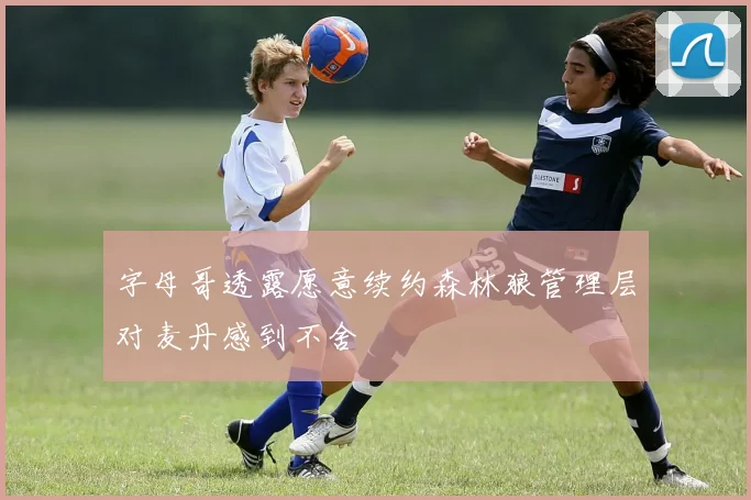 字母哥透露愿意续约森林狼管理层对麦丹感到不舍
