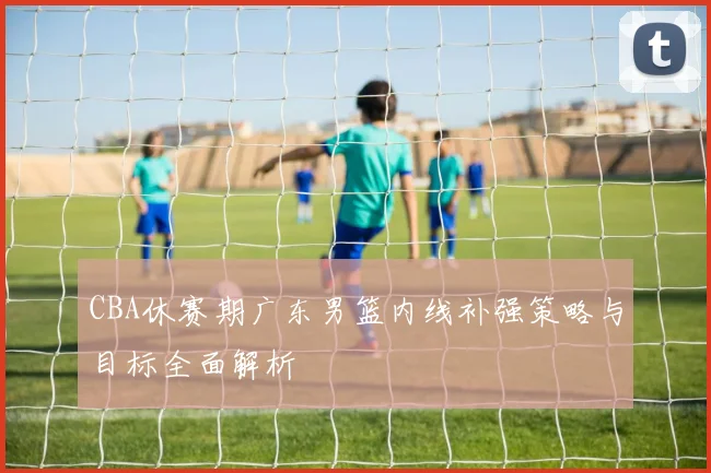 CBA休赛期广东男篮内线补强策略与目标全面解析