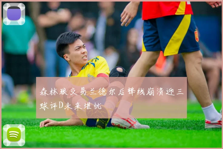 森林狼交易兰德尔后锋线崩溃迎三球评D未来堪忧
