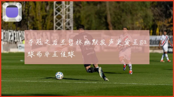 夺冠之后王哲林幽默发声更爱五ga球而非五佳球